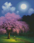 (image for) Midnight Blossoms